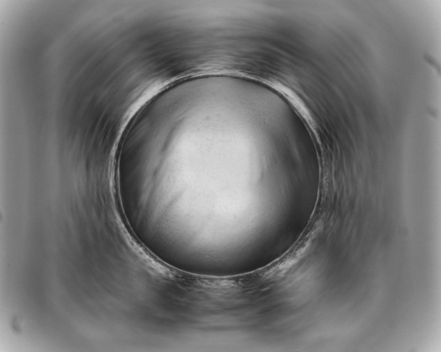 X0000096460957200802071831