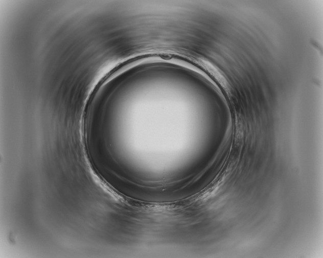 X0000096460958200802071831