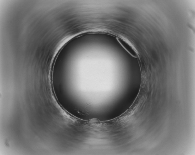 X0000096460959200802071831