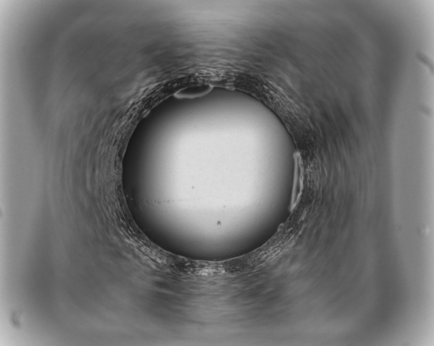 X0000096460961200802071830