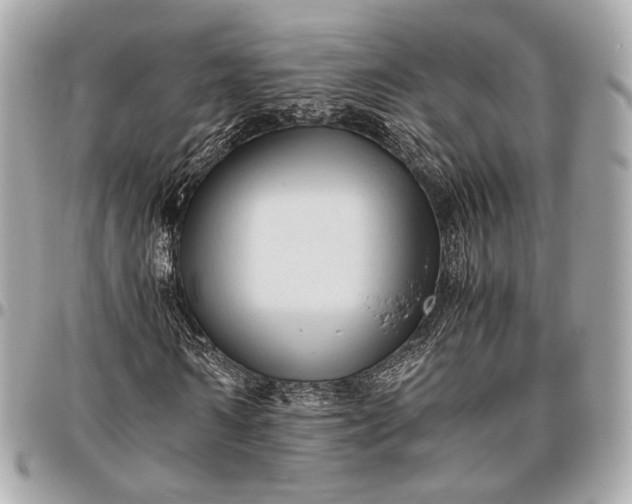 X0000096460962200802071830