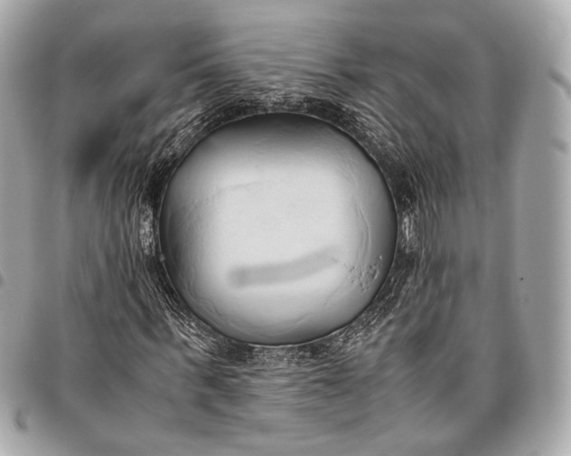 X0000096460963200802071830
