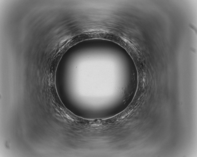 X0000096460965200802071830
