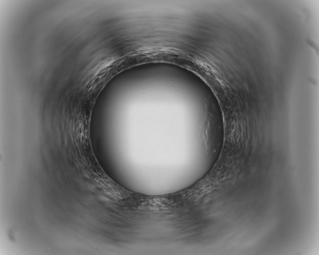X0000096460966200802071830