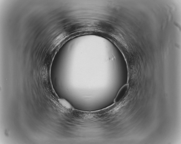 X0000096460969200802071830