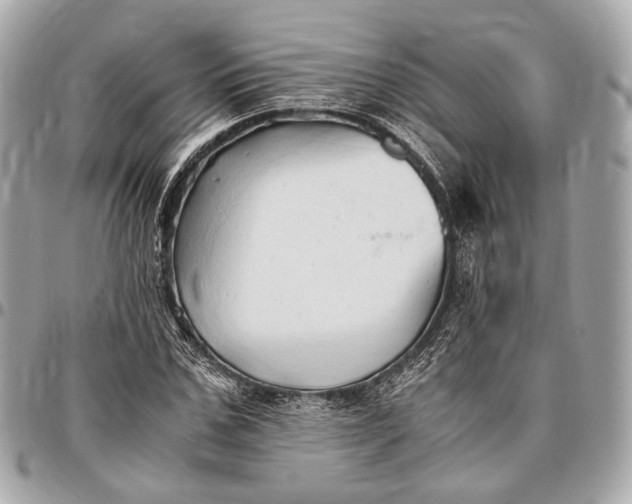 X0000096460971200802071830