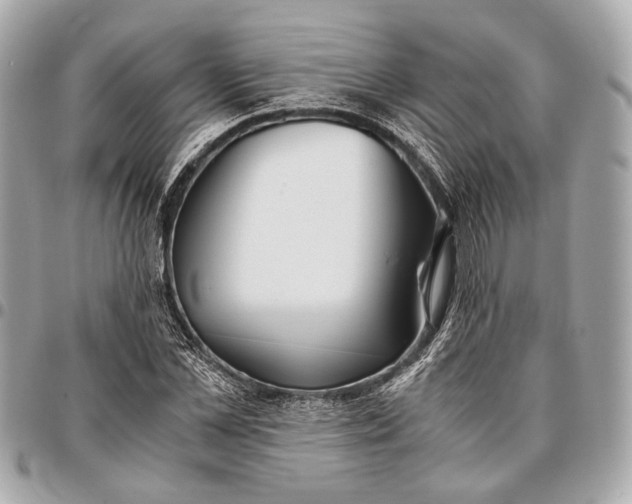 X0000096460973200802071830