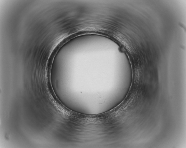 X0000096460976200802071830