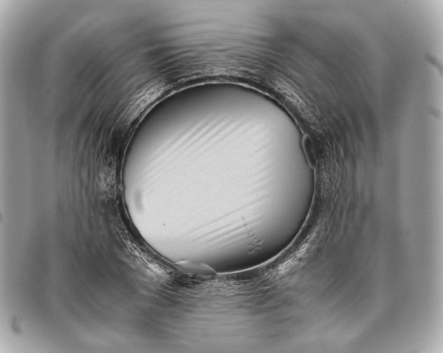 X0000096460977200802071830