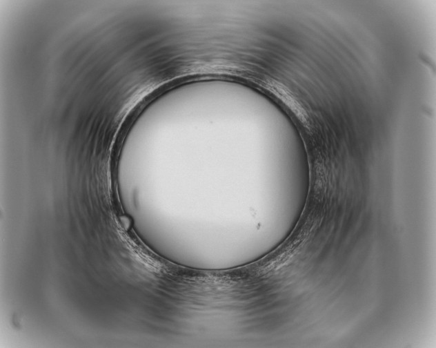 X0000096460980200802071830