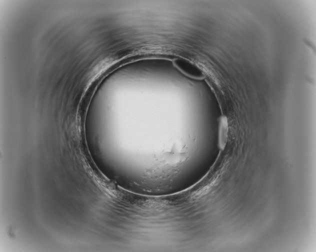 X0000096460981200802071830