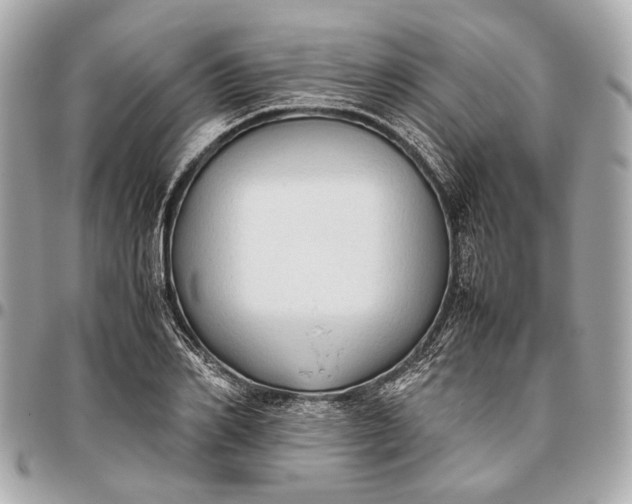 X0000096460982200802071830