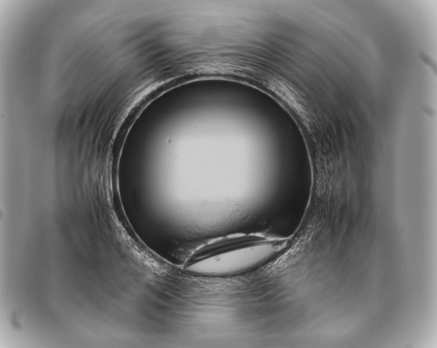 X0000096460984200802071830