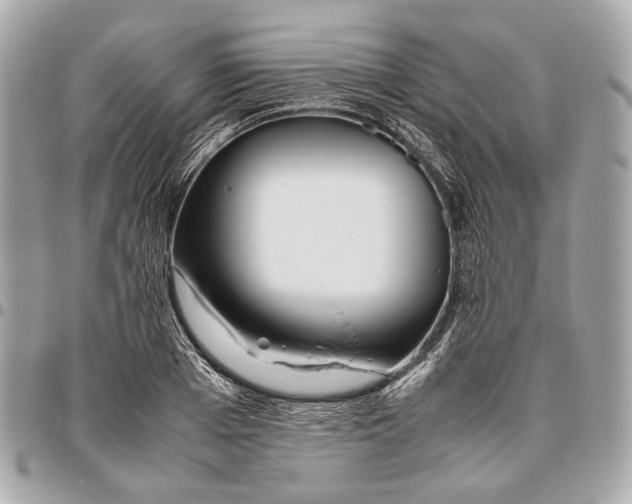 X0000096460985200802071830