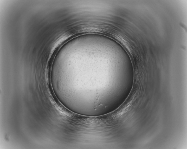 X0000096460987200802071830
