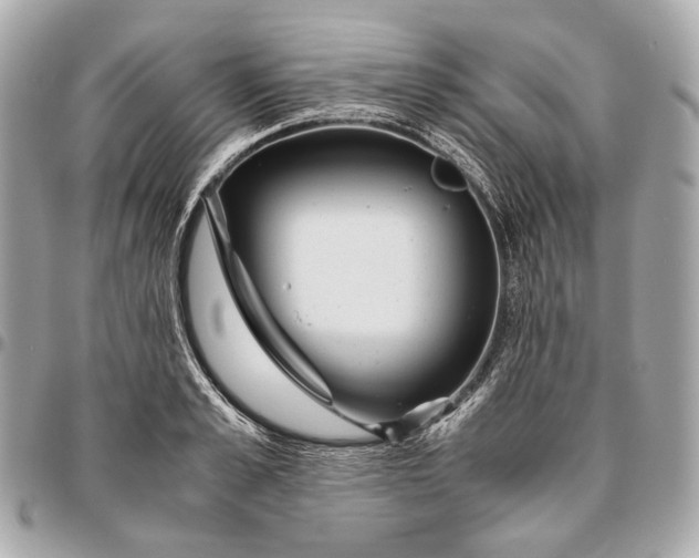 X0000096460989200802071830
