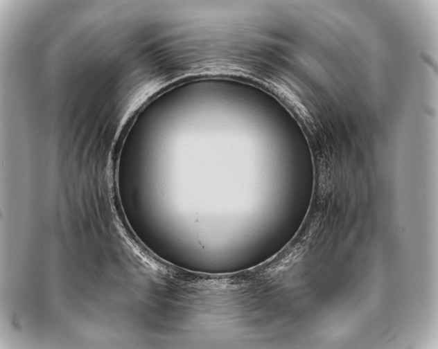 X0000096460990200802071830