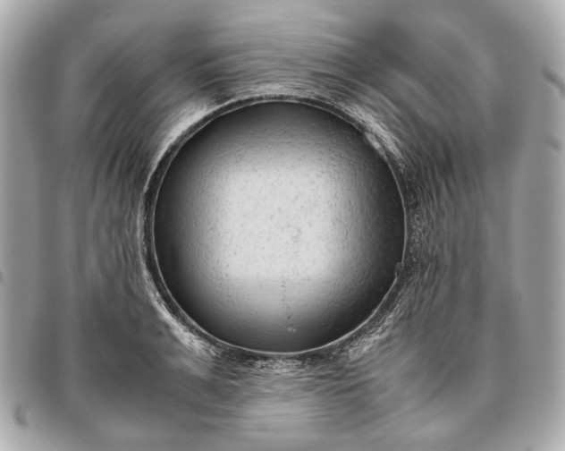 X0000096460991200802071830