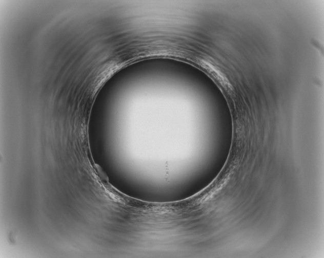 X0000096460993200802071830