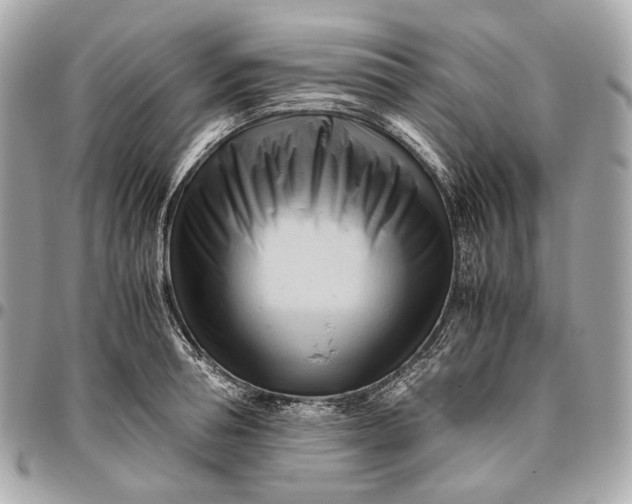 X0000096460994200802071830