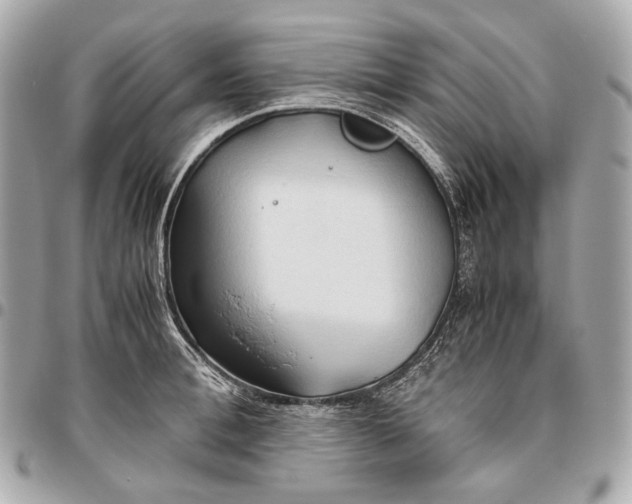 X0000096460996200802071830