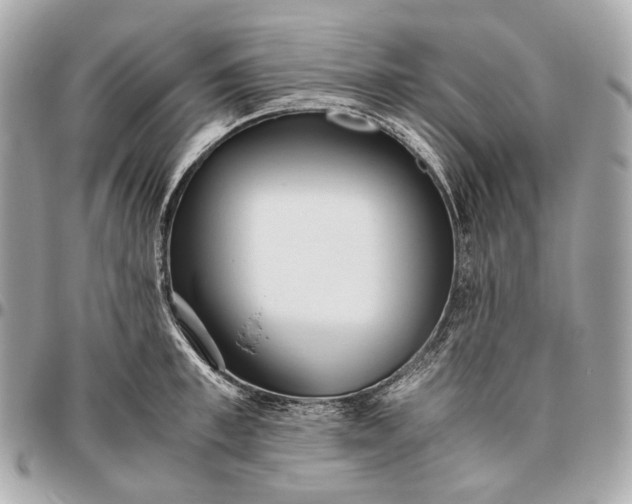 X0000096460997200802071830