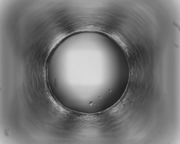 X0000096460998200802071830