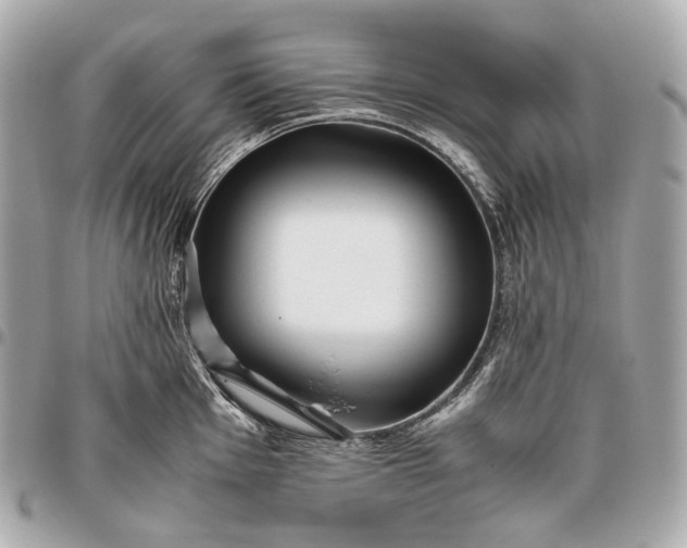 X0000096461001200802071830