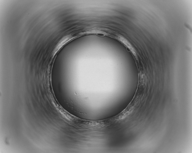 X0000096461002200802071830