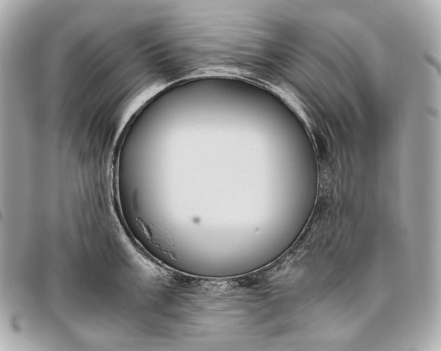 X0000096461003200802071830