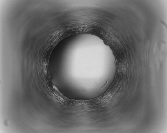 X0000096461010200802071829