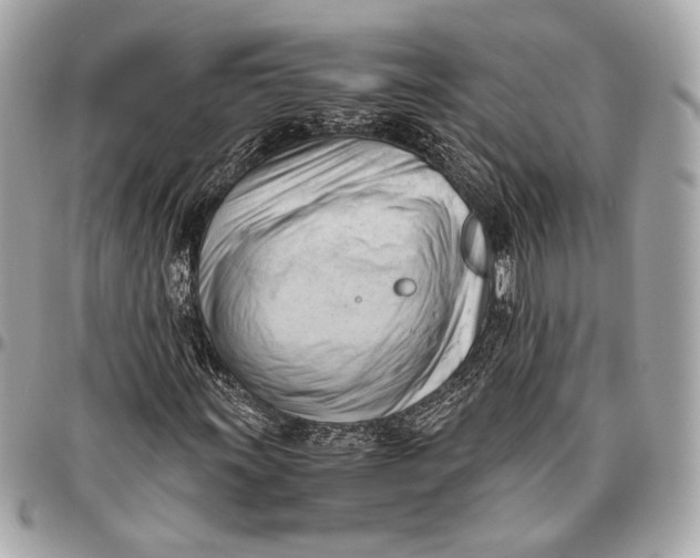 X0000096461011200802071829