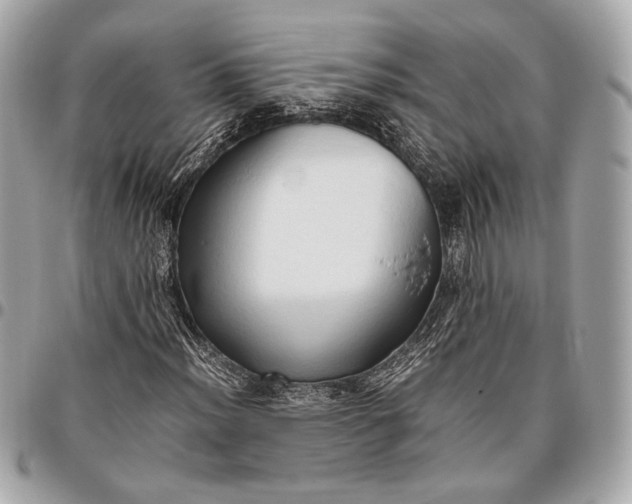 X0000096461012200802071829