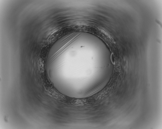 X0000096461013200802071829