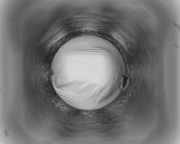 X0000096461015200802071829