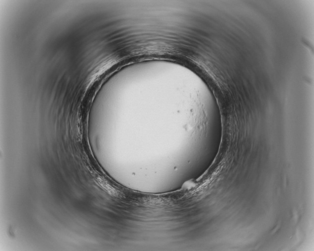 X0000096461018200802071829