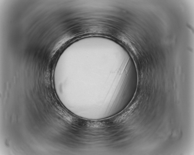 X0000096461019200802071829
