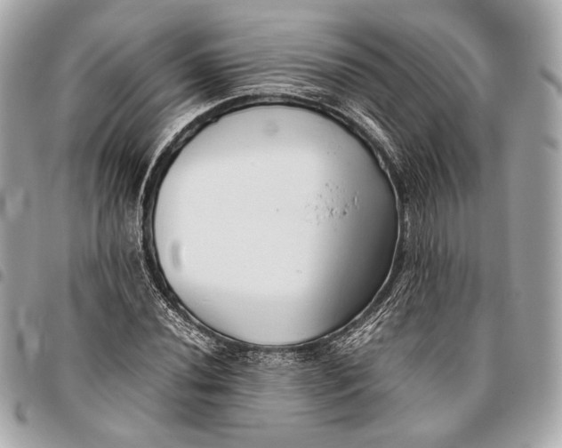 X0000096461020200802071829