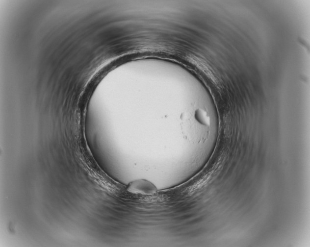 X0000096461021200802071829