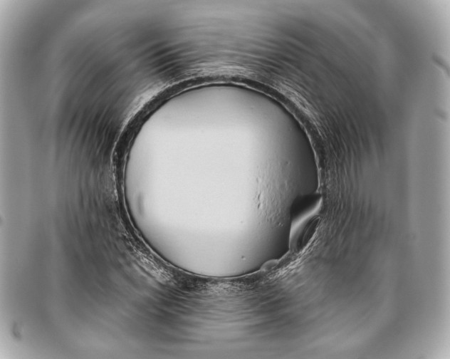 X0000096461022200802071829