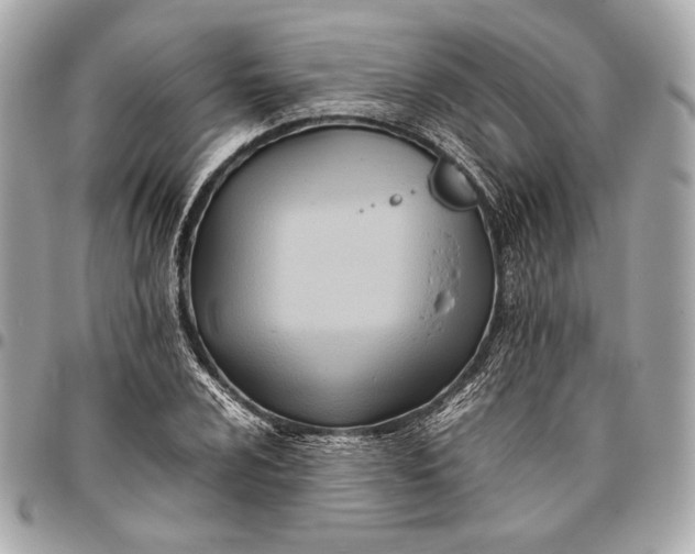 X0000096461024200802071829