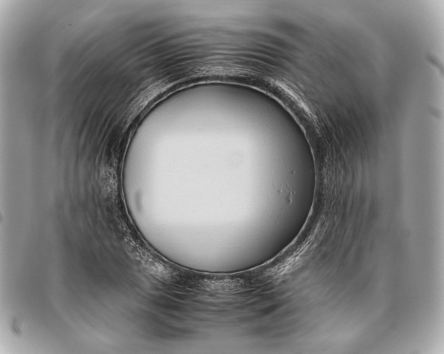 X0000096461025200802071829