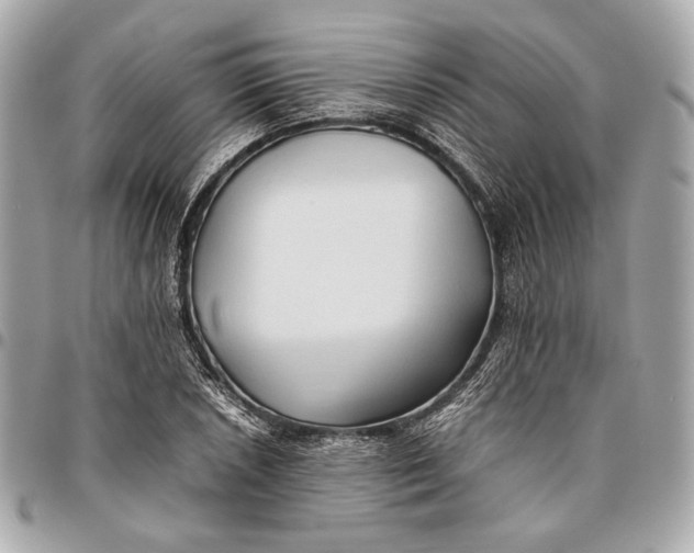 X0000096461026200802071829