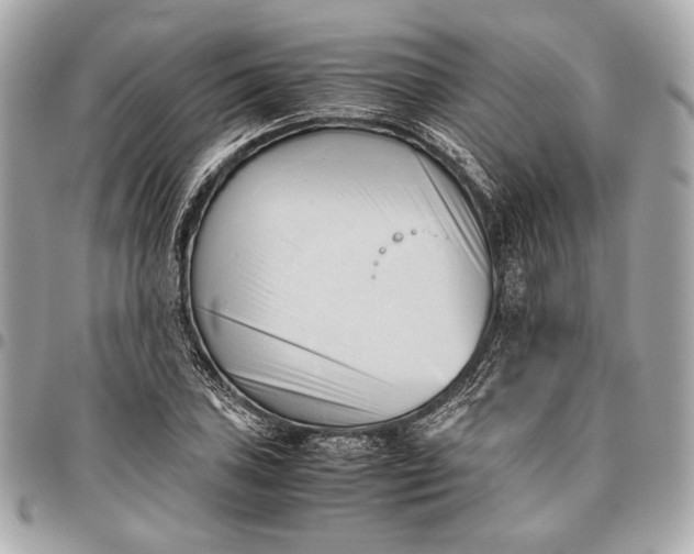 X0000096461027200802071829