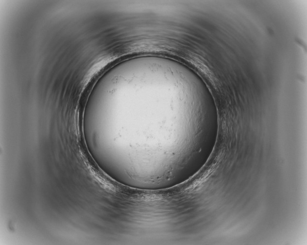 X0000096461030200802071829