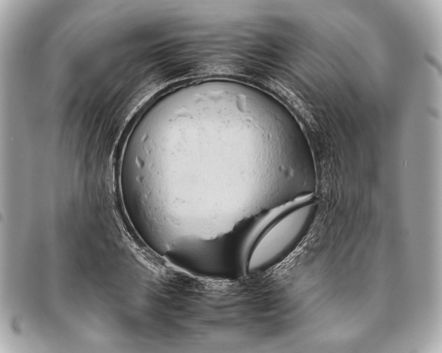 X0000096461031200802071829