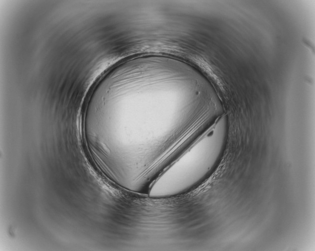 X0000096461032200802071829