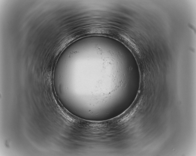 X0000096461033200802071829