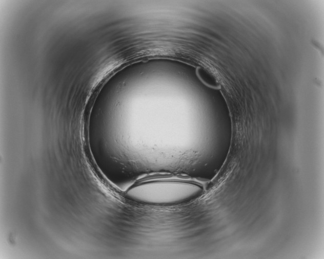 X0000096461034200802071829