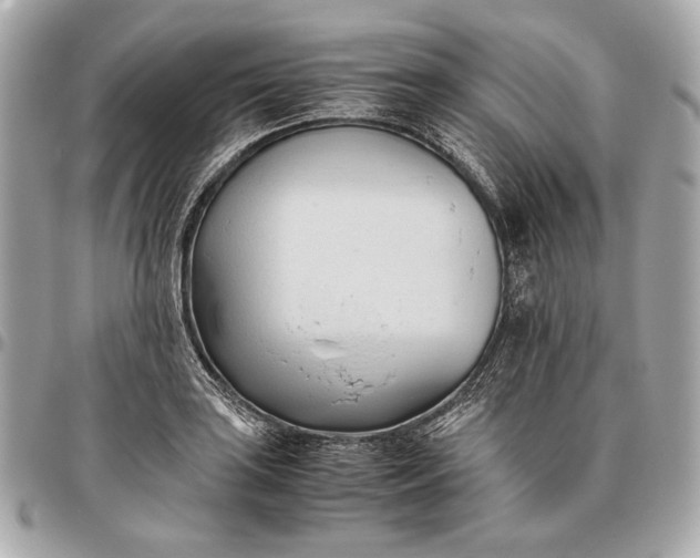 X0000096461035200802071829